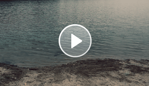 Birth of Venus (47 MB)