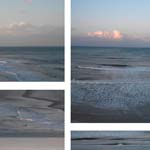 Liz Irk - Digital Photography