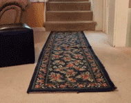 Garrett Banning "Kitten is Angry" - Stop Motion Animation (35.4 MB)